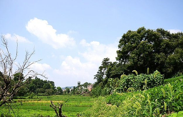 �����µ����