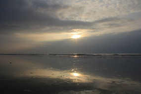 �����ճ�