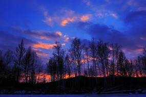 ������ϼ