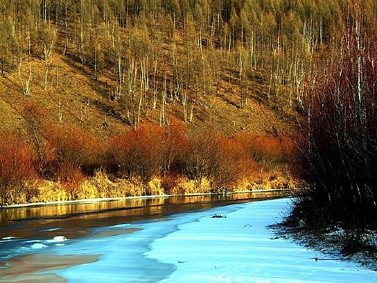 ����ɽ��