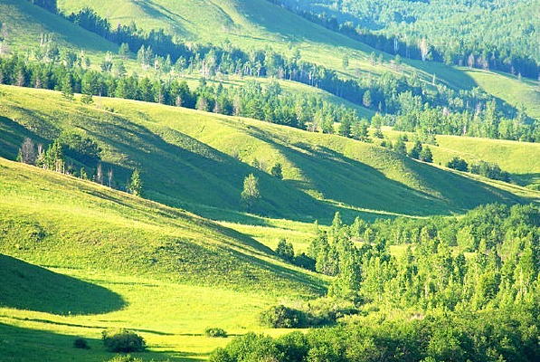 ���˰�������