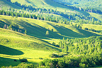 ���˰�������