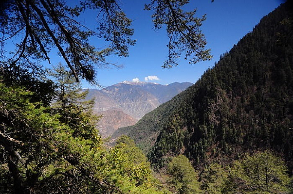 ����Զ��