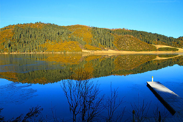 ��������ɫ