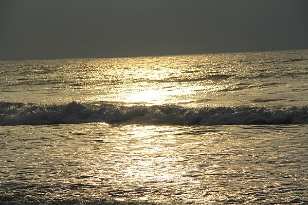 �����µĺ���