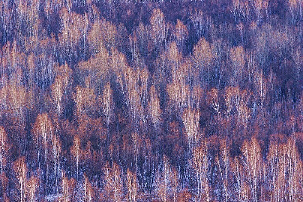 ���˰��붬��