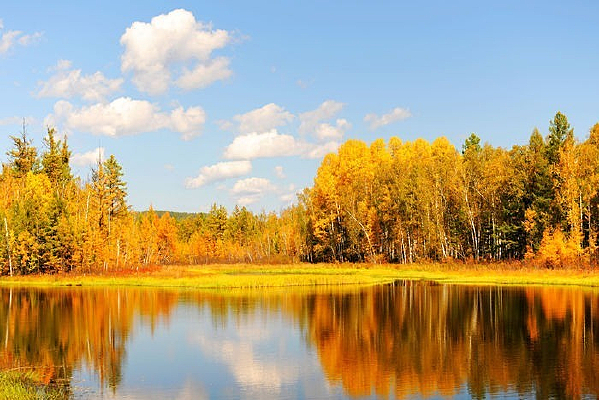 ������ɫ