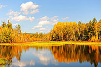 ������ɫ