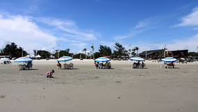 �����µĺ�̲