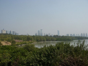 ���ں�����