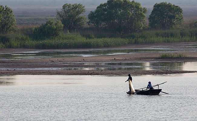 ������������