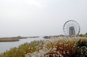 Ħ����ˮ��