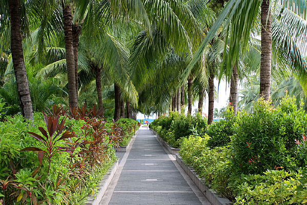 Ҭ���е�С·