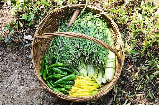 �ݵ��߲���