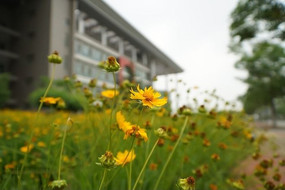 Ұ�ջ�����