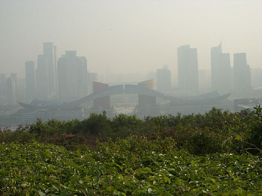 Զ������