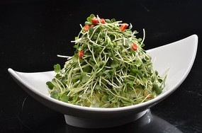 ���ܲ���