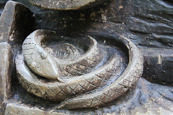 ���ŵ���