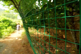 ��Ұ������