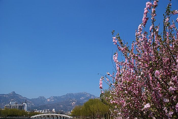 ӣ��԰ˮ�����