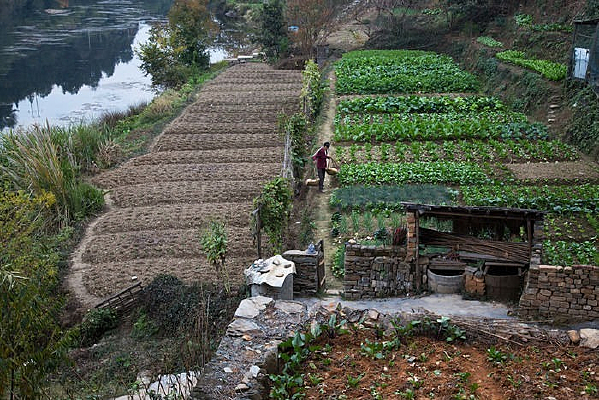 ������԰���