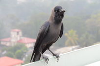 �����ϵ���