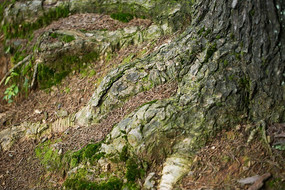 ����������������