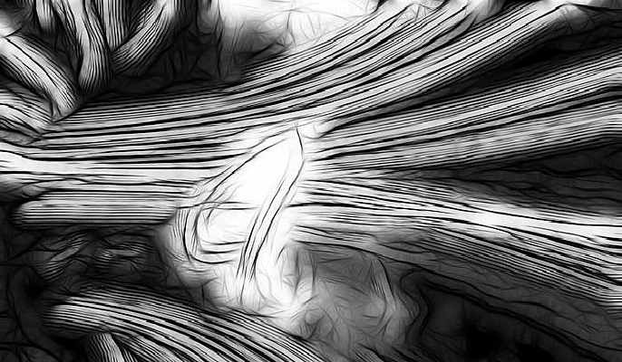 ��ɫ���Ʊ����ز�