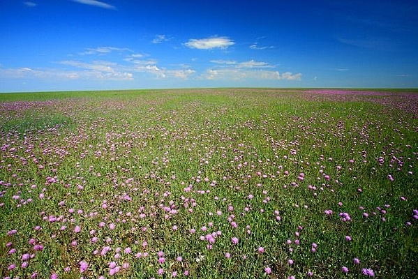 ���ױ�����ԭ��