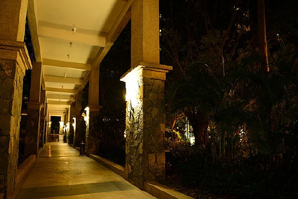 �Ƶ�ͨ��ҹ��