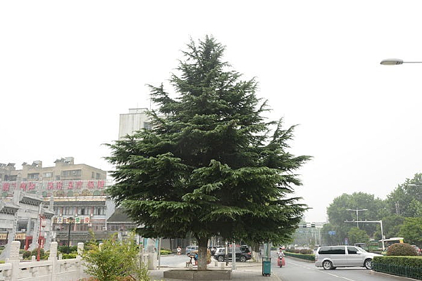 ·������