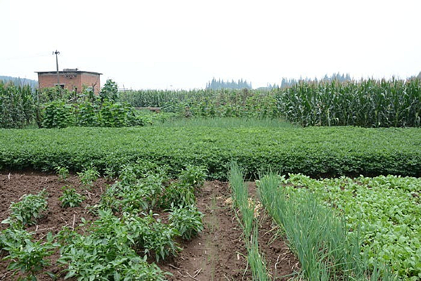 ���໨����