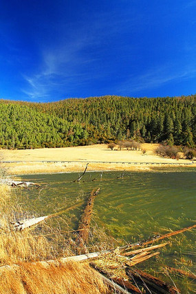 �մ�������