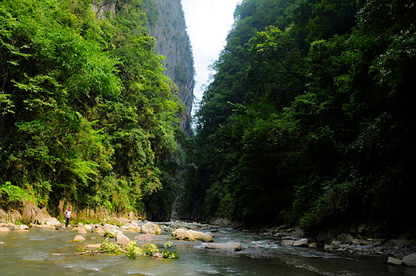 ����Ͽ���