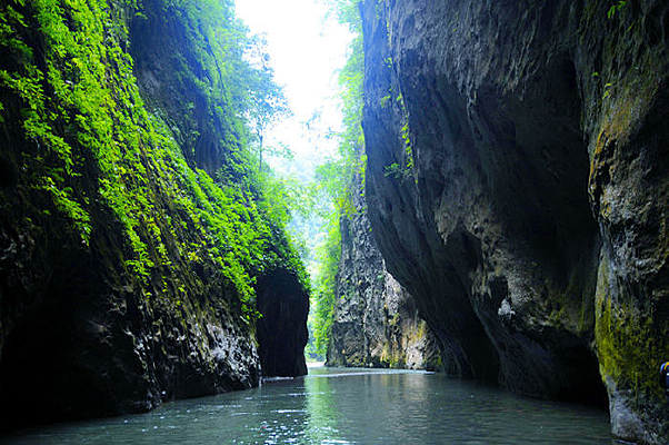 ����ɽ��