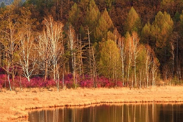 �������羰��