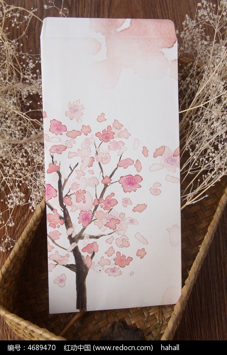 樱花树信封