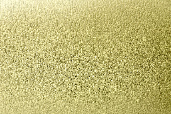 ��Ƥ����