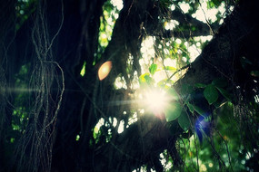 �����еĹ�