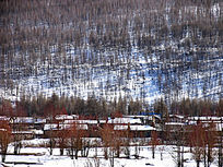 ���˰���ɽ���˼�