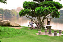 ����ʯ��