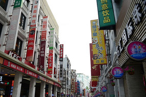 ���ݲ��н�