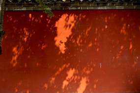 ��ǽ�ϵ���