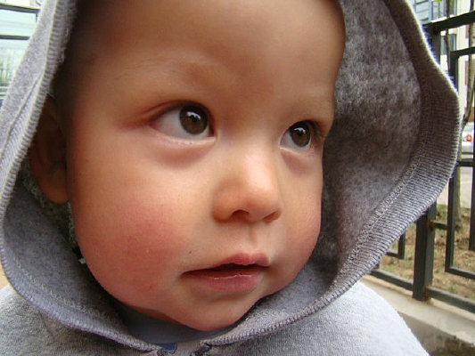 ñ����ĺ���