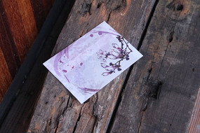 ľͷ�ϵ��ŷ�