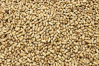 һ���ʻ�����