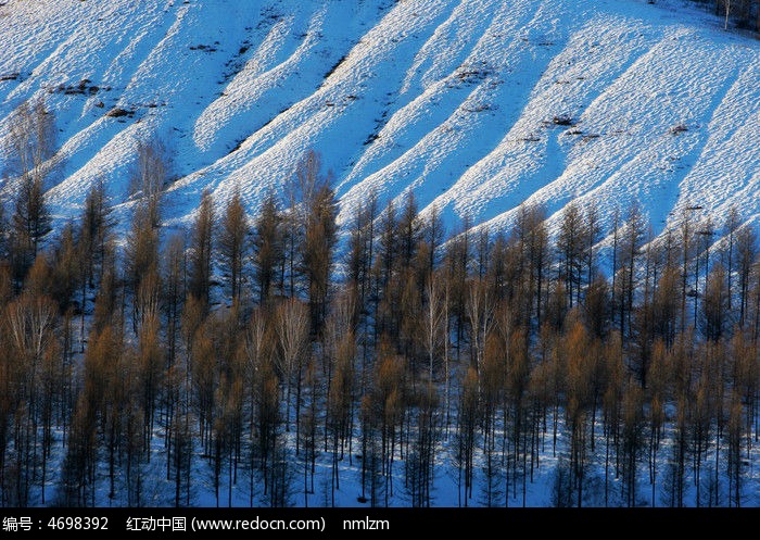 ɽ�ֶ���ͼƬ