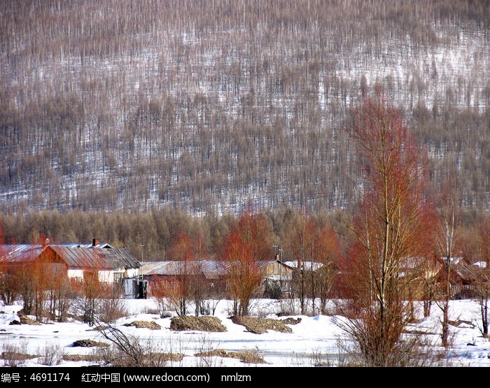ɽ���˼�ѩ��ͼƬ