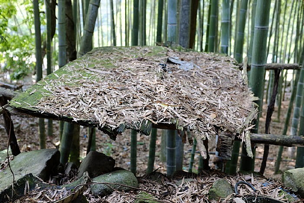 ����һ��