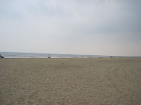 �����ĺ���